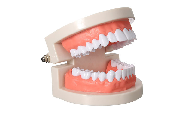 Burhan Demirel Düzce Diş Doktoru Protez Diş